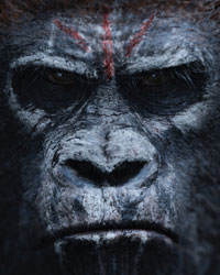 Dawn Of The Planet Of The Apes